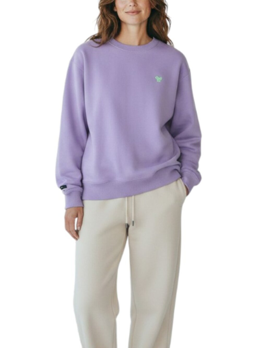 BAD BIRDIE Crew Pullover- Sweatshirt Sz XL Purple Cozy Fleece Inside Rare City
